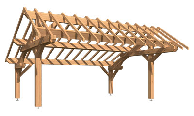 Carport 2 voitures strélizia avec toiture