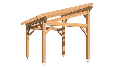 Carport 1 voitures pin Douglas
