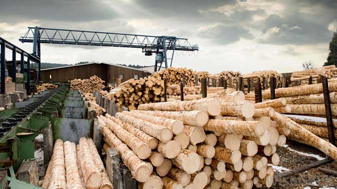 madrier entaille bois planche
